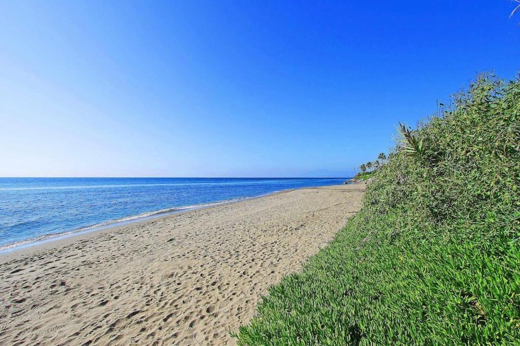 Apartment 1039 - Carib Playa Duplex Penthouse Marbella